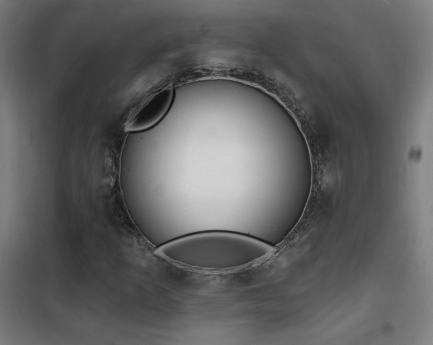 X0000102291253200807251414