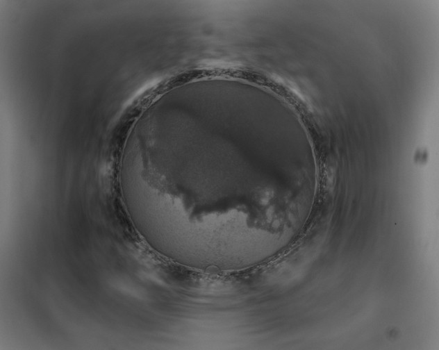 X0000102291254200807251413