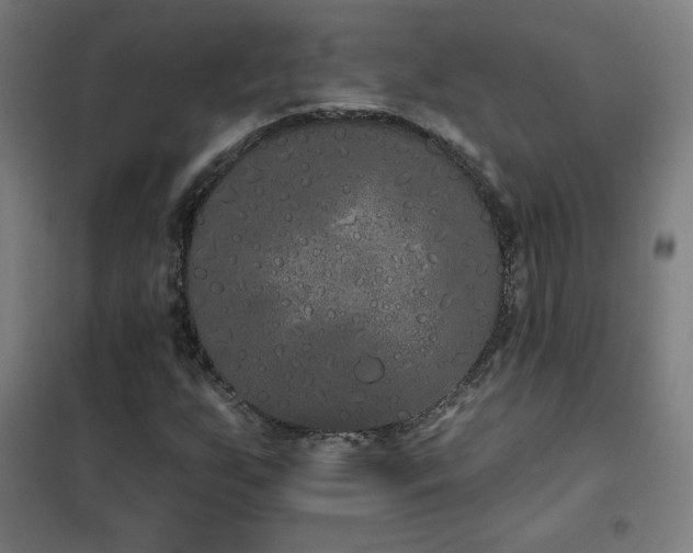 X0000102291255200807251413