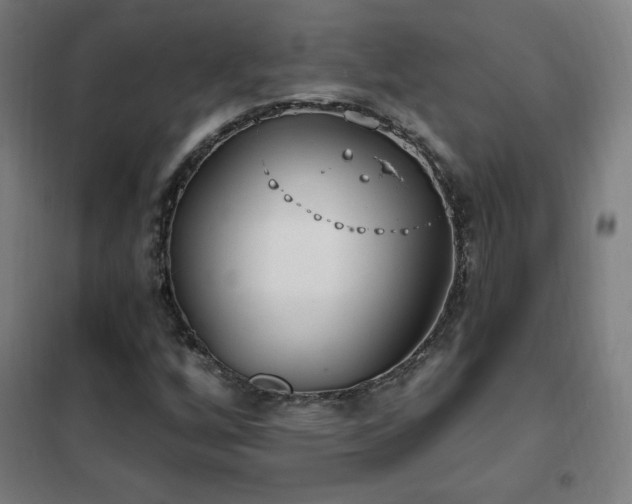 X0000102291256200807251413