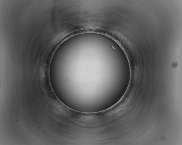 X0000102291257200807251413