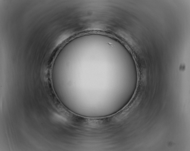 X0000102291258200807251413