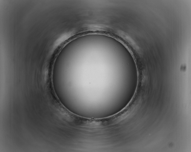X0000102291261200807251413