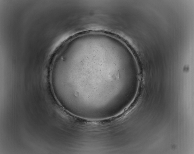 X0000102291263200807251413