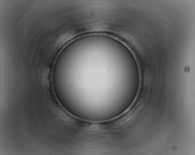 X0000102291265200807251413
