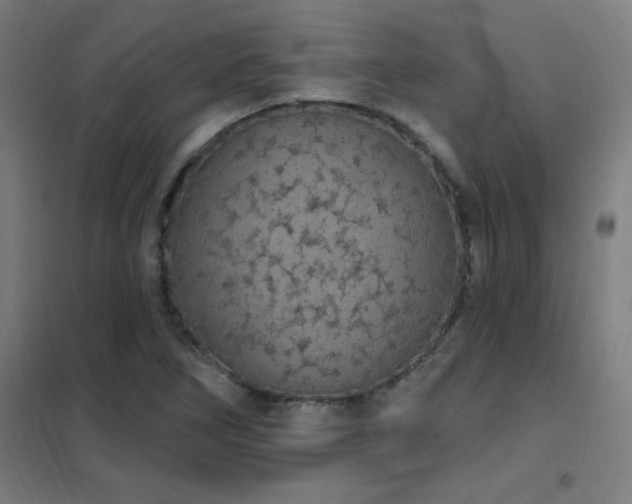 X0000102291266200807251413