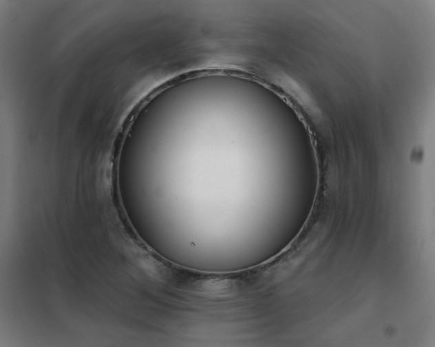 X0000102291268200807251413