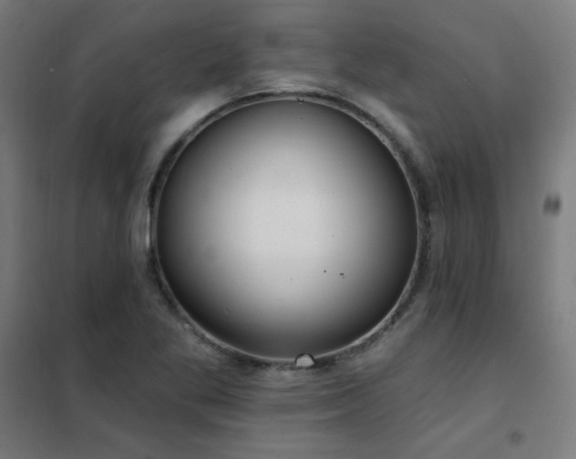 X0000102291269200807251413