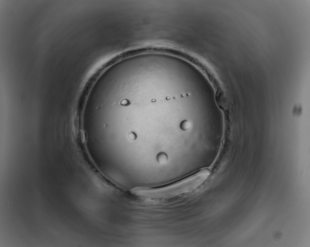 X0000102291271200807251413