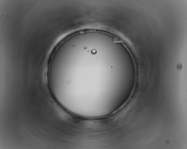 X0000102291272200807251413