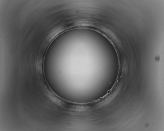 X0000102291273200807251413