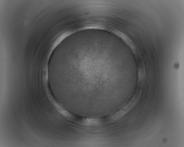 X0000102291274200807251413