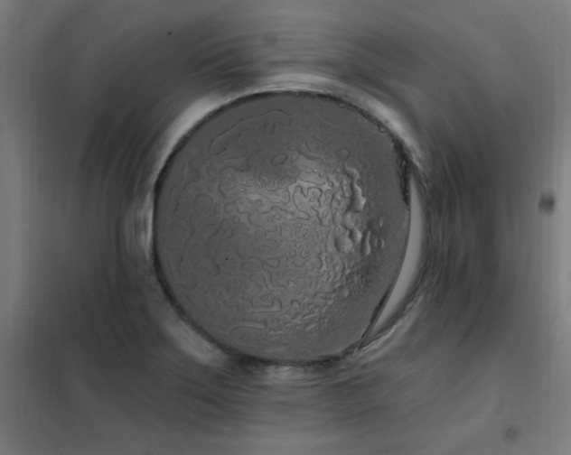 X0000102291275200807251413