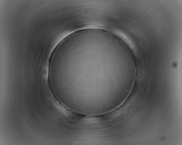 X0000102291276200807251413