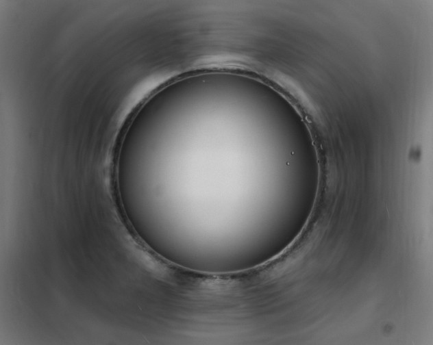 X0000102291277200807251413