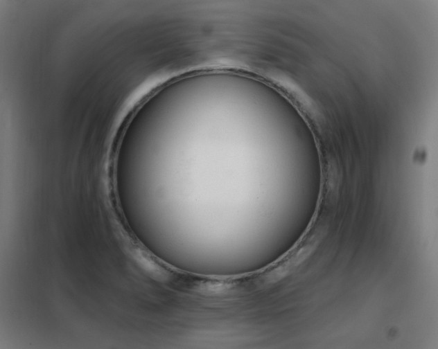X0000102291278200807251413