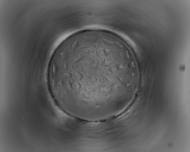 X0000102291279200807251413