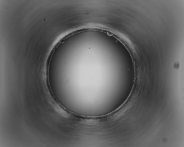 X0000102291280200807251413