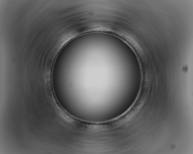 X0000102291281200807251413