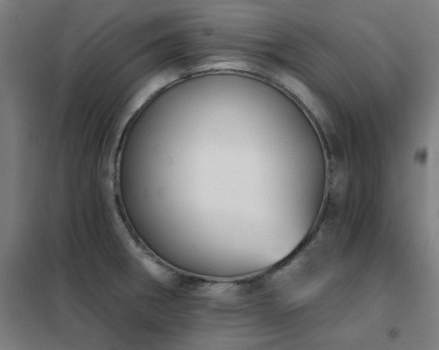 X0000102291282200807251413