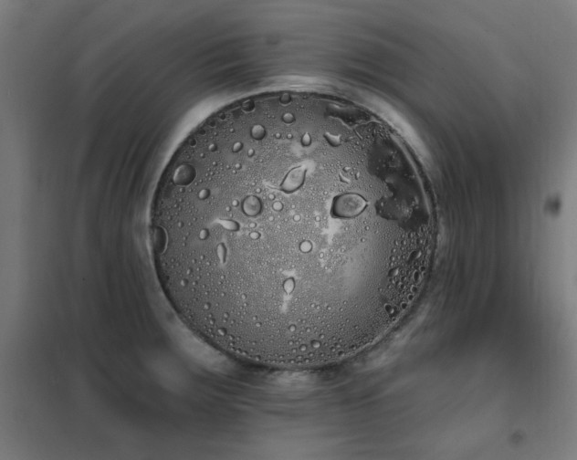X0000102291283200807251413