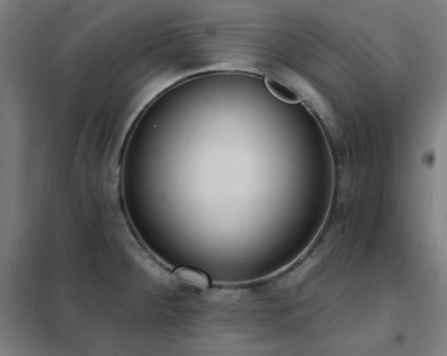 X0000102291284200807251413