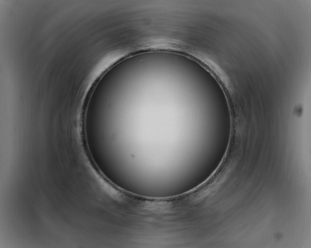X0000102291285200807251413