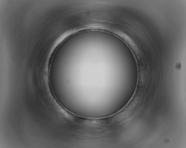 X0000102291286200807251413
