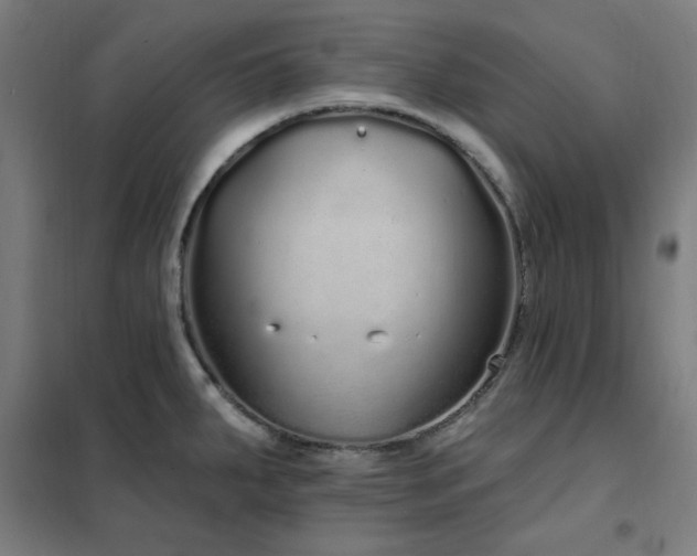 X0000102291287200807251413