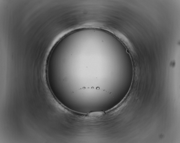 X0000102291288200807251413