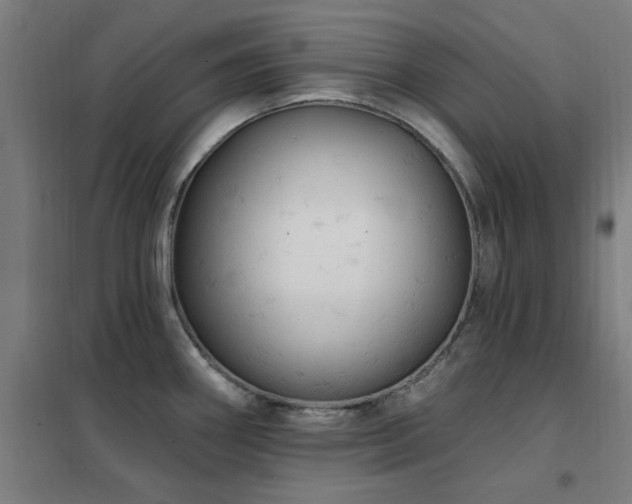 X0000102291290200807251413