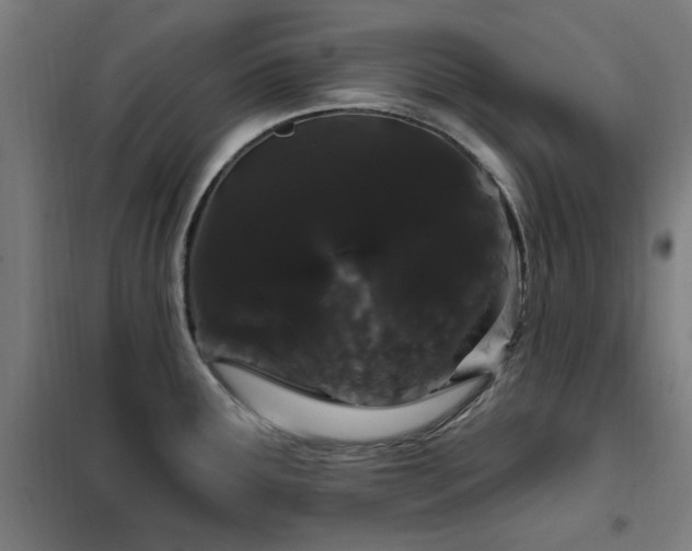 X0000102291291200807251413