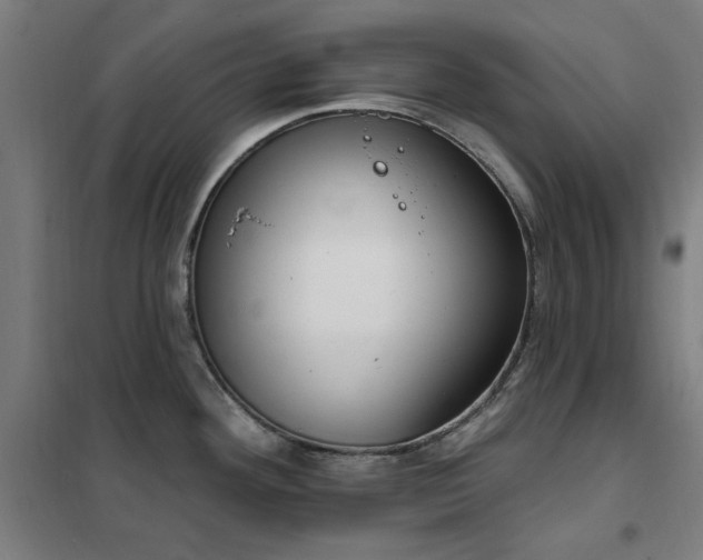 X0000102291292200807251413