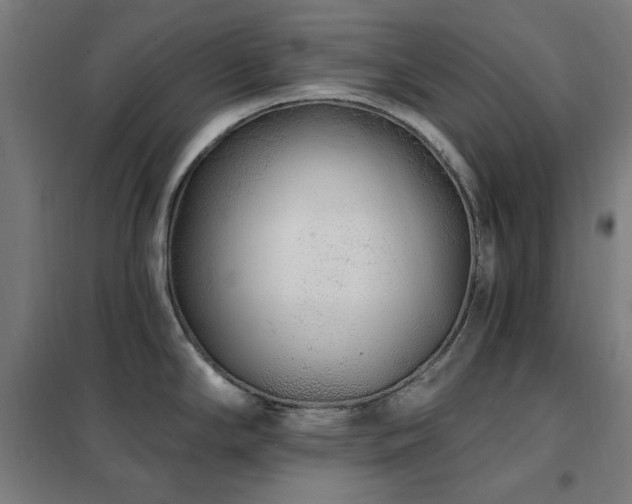 X0000102291294200807251413