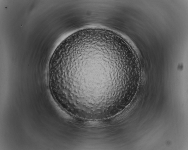X0000102291295200807251413