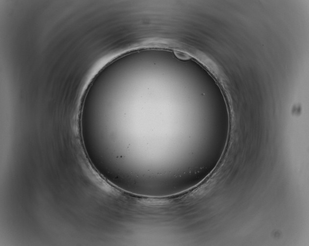 X0000102291296200807251413