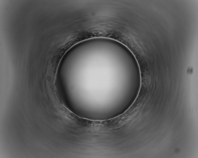 X0000102291297200807251412