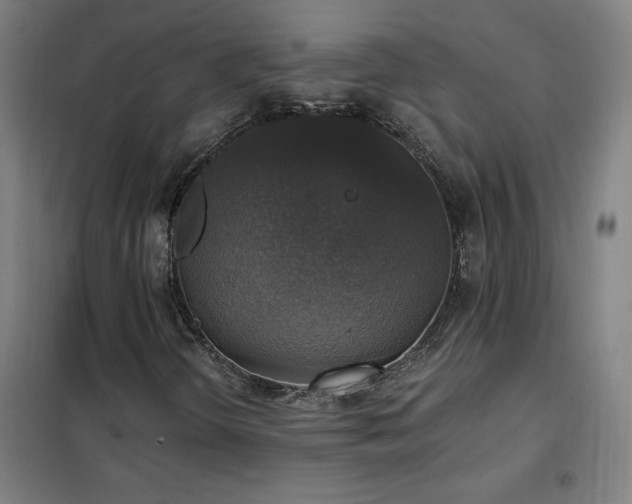 X0000102291298200807251412