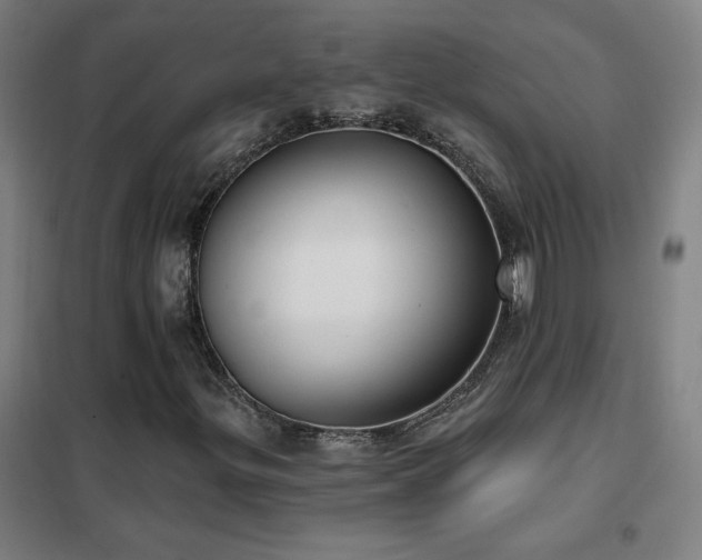 X0000102291299200807251412