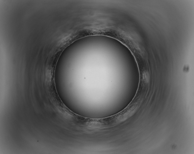 X0000102291300200807251412