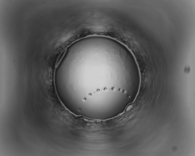 X0000102291301200807251412