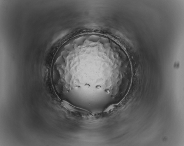 X0000102291302200807251412