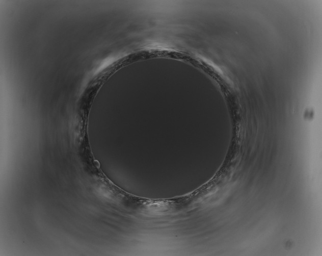X0000102291303200807251412