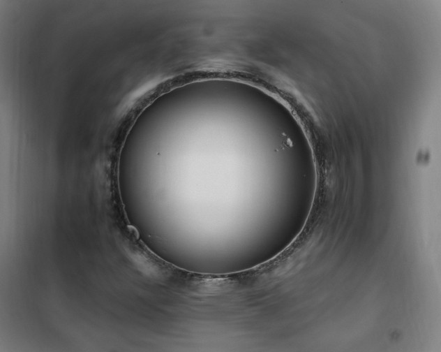 X0000102291304200807251412