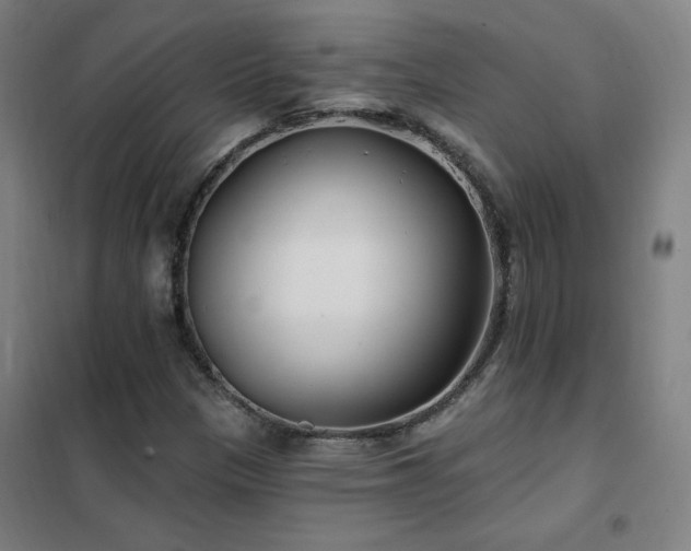 X0000102291305200807251412