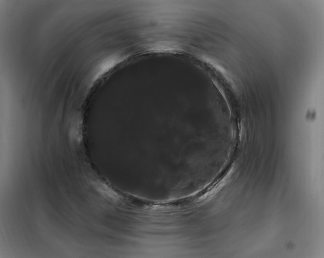 X0000102291306200807251412