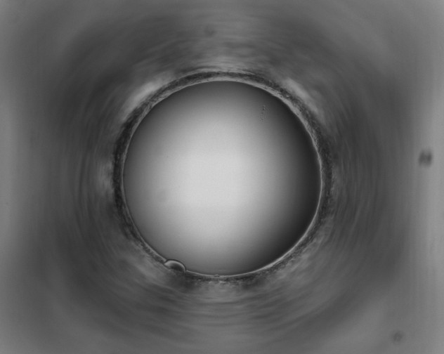 X0000102291307200807251412