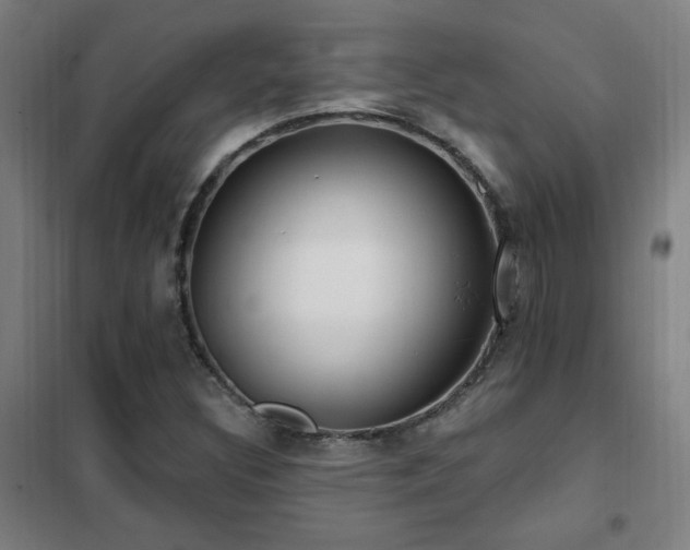 X0000102291308200807251412