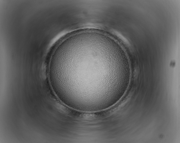X0000102291310200807251412