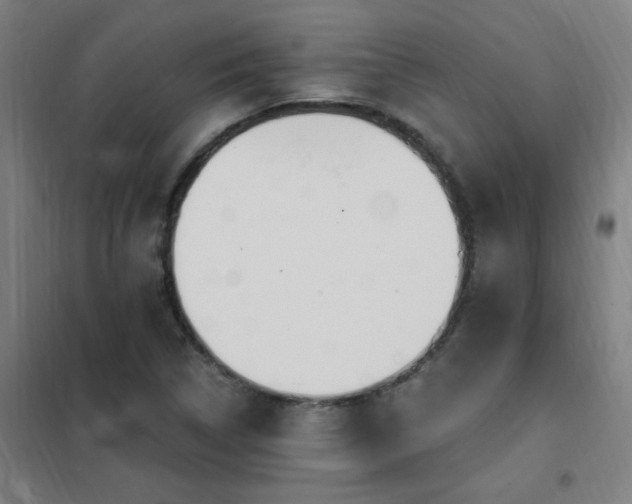 X0000102291314200807251412